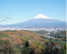 岩本山からの富士山